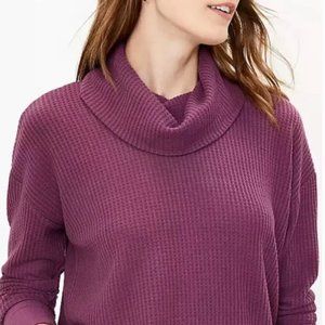 LOFT Waffle Cowl Neck Tunic Top